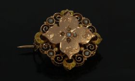 Blisterparel bloem broche 14 karaats goud ca. 1880 handgemaakt